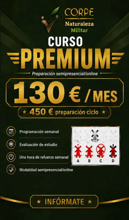 Cursos psicotécnicos